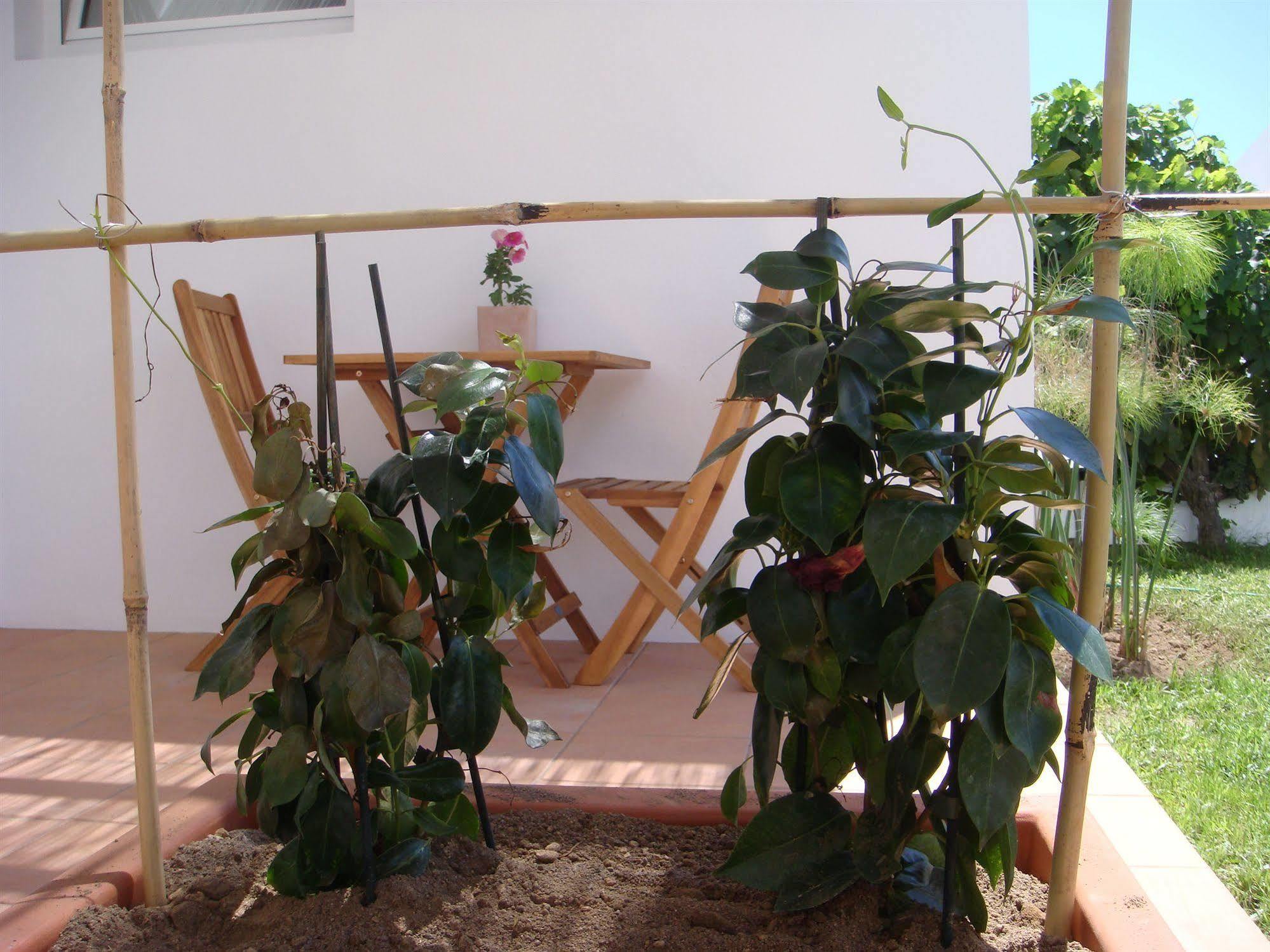 Casa Da Ilha - Slow Living Residence & Suites Ponta Delgada Eksteriør billede